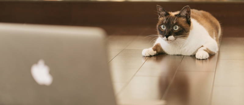 上がらない時には上がる方法を探します